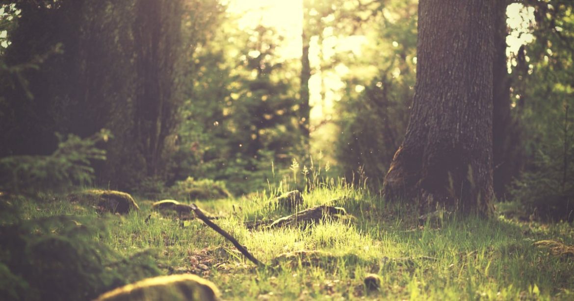 My Happy Footprint - Calculate your Ecological Footprint and Personal Overshoot Day